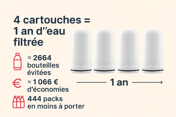 Lot de 4 cartouches filtrantes – Purificateur d'eau UV BonTuyauDuNet – 1 an d’eau pure (4 000 L)