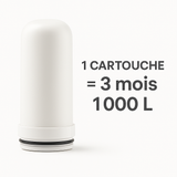 Cartouche de rechange – Filtration pour purificateur d'eau UV BonTuyauDuNet – 3 mois / 1 000 L
